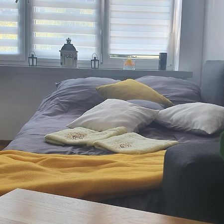 Apartament Park Saski サンドミエシュ エクステリア 写真