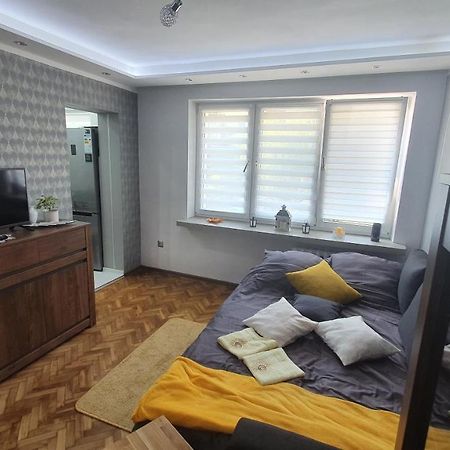 Apartament Park Saski サンドミエシュ エクステリア 写真