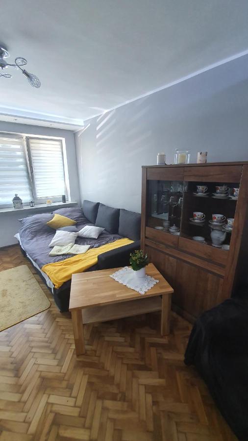 Apartament Park Saski サンドミエシュ エクステリア 写真