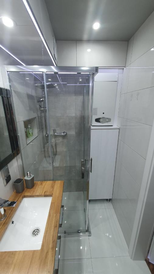 Apartament Park Saski サンドミエシュ エクステリア 写真