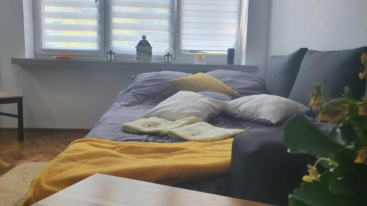 Apartament Park Saski サンドミエシュ エクステリア 写真