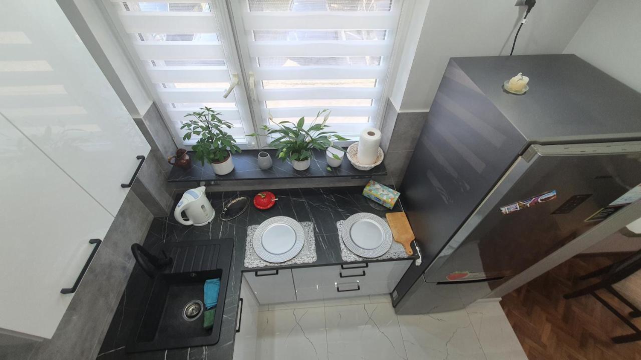 Apartament Park Saski サンドミエシュ エクステリア 写真