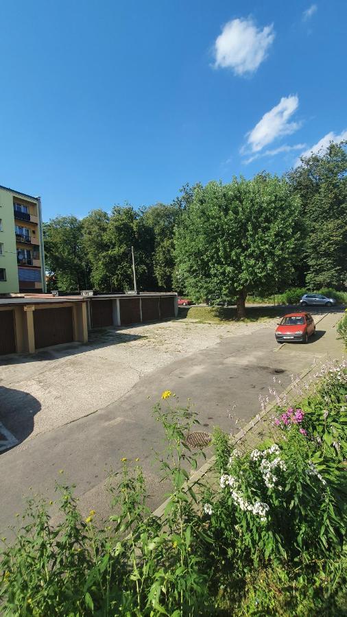 Apartament Park Saski サンドミエシュ エクステリア 写真