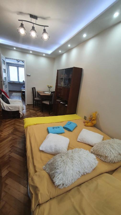 Apartament Park Saski サンドミエシュ エクステリア 写真