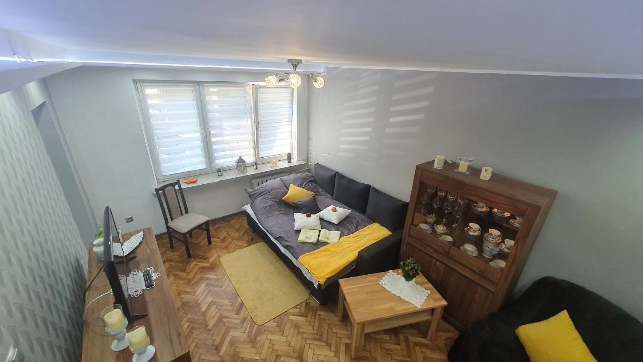 Apartament Park Saski サンドミエシュ エクステリア 写真