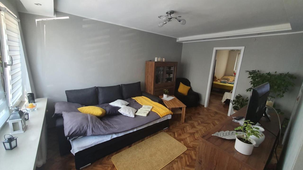 Apartament Park Saski サンドミエシュ エクステリア 写真