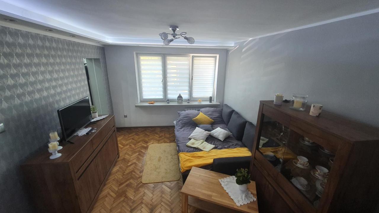 Apartament Park Saski サンドミエシュ エクステリア 写真