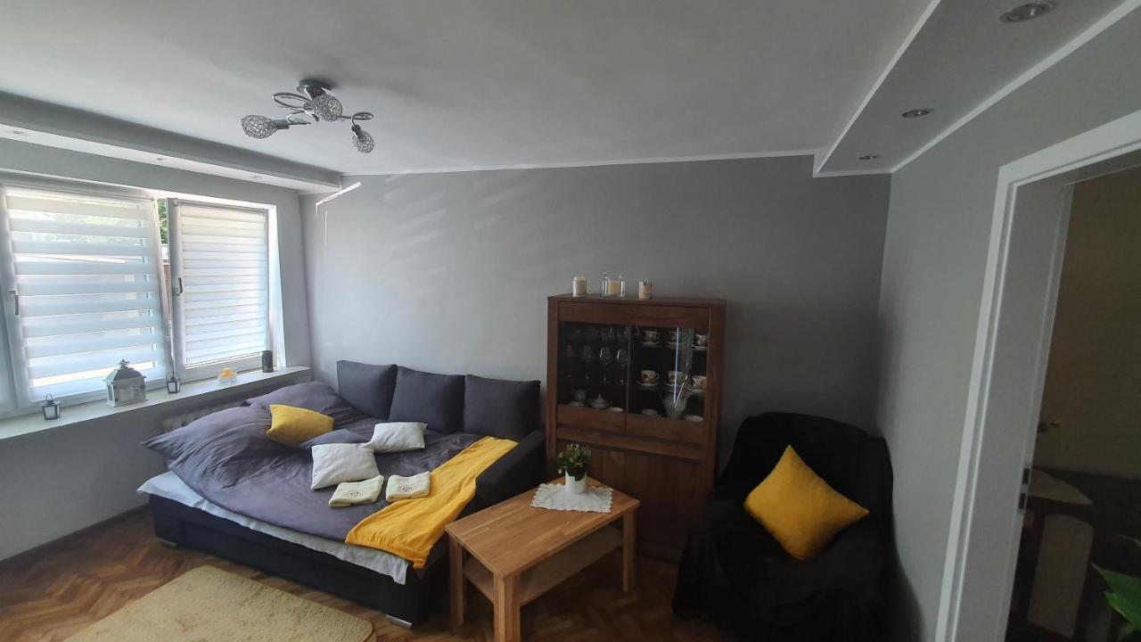 Apartament Park Saski サンドミエシュ エクステリア 写真