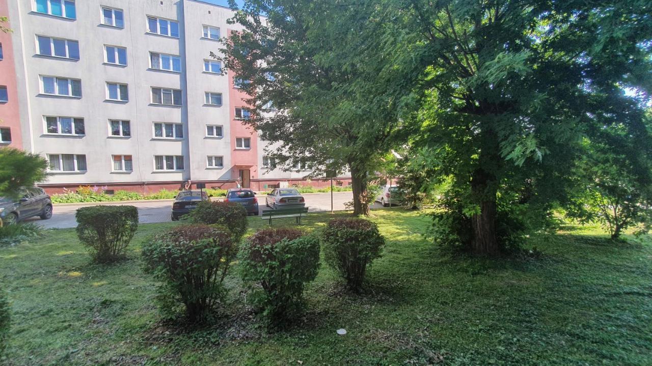 Apartament Park Saski サンドミエシュ エクステリア 写真